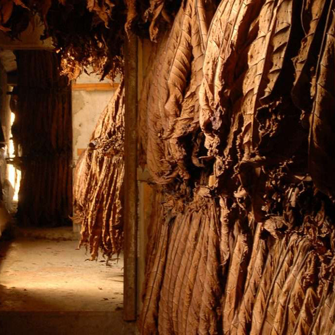 WM Tobacco