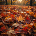 Leaves