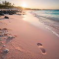 WM Pink Sands